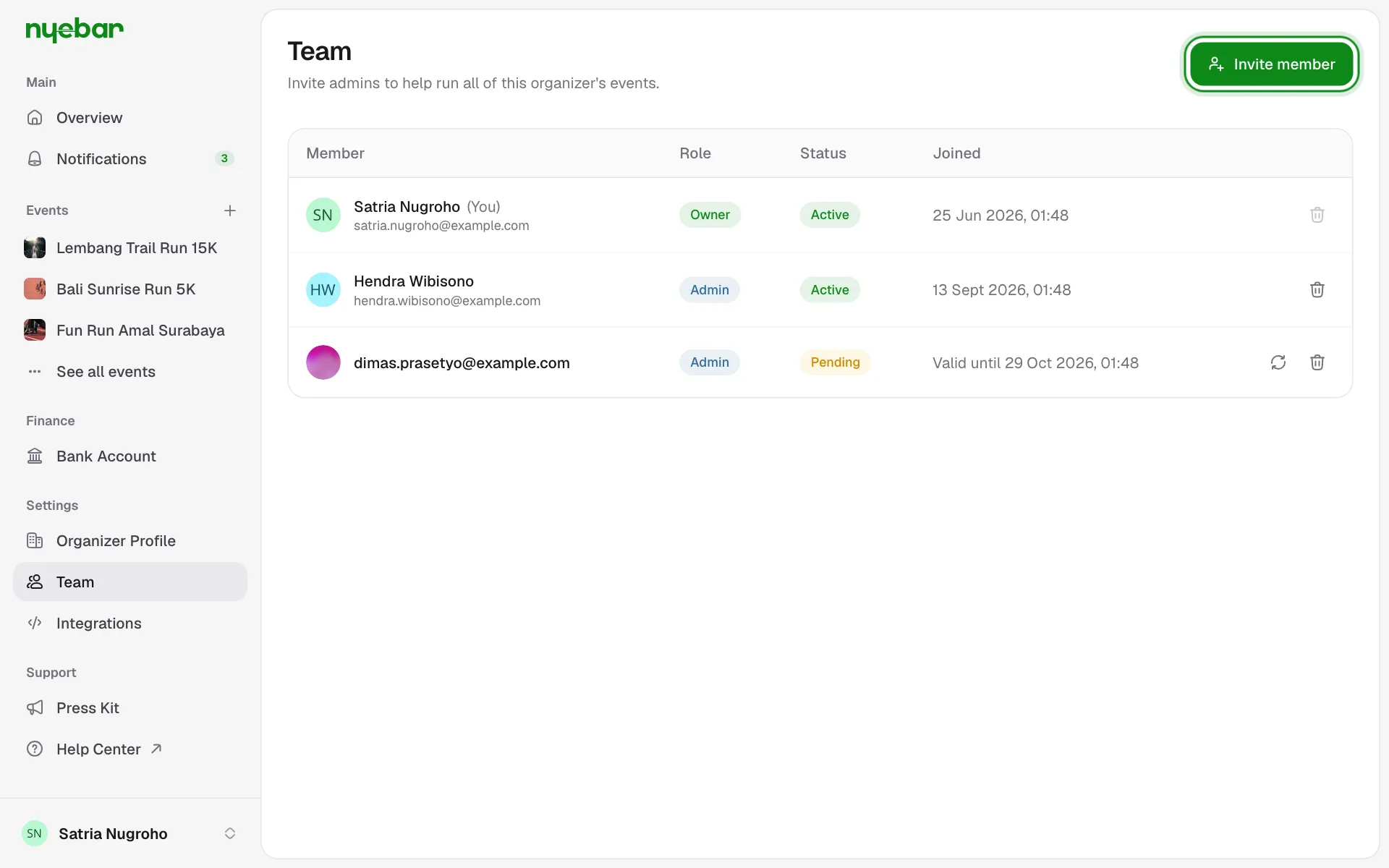 The Team page with members and pending invites.